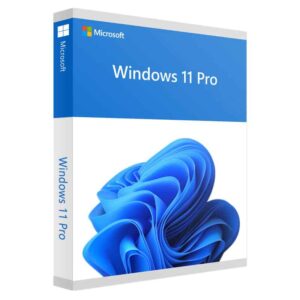 Windows 11 Professional Windows 11 Pro